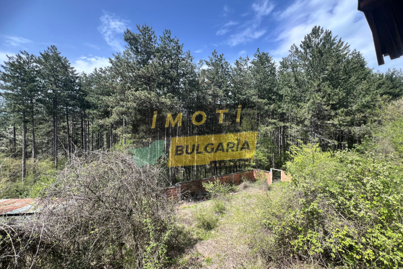 Продава КЪЩА, с. Солище, област Кърджали, снимка 9 - Къщи - 53141552