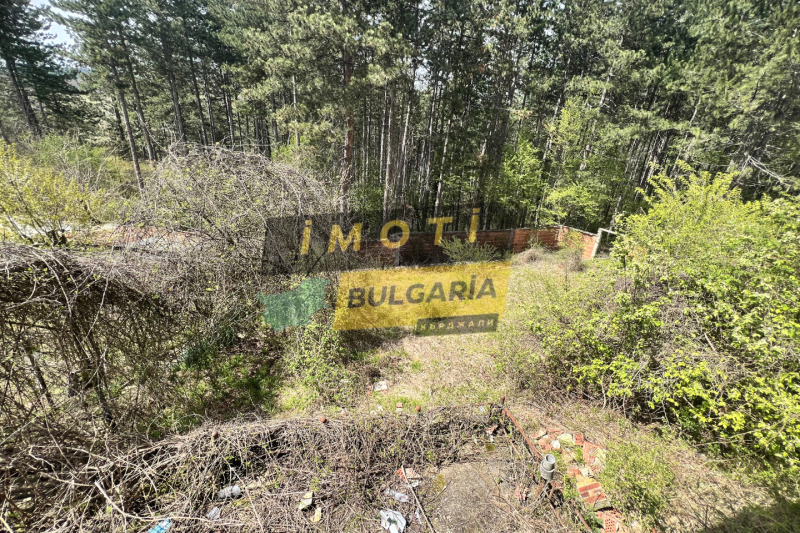 Продава КЪЩА, с. Солище, област Кърджали, снимка 10 - Къщи - 53141552