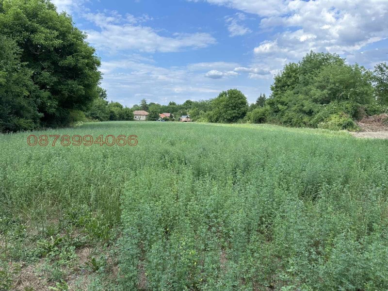 Продава ПАРЦЕЛ, с. Къпиново, област Велико Търново, снимка 11 - Парцели - 53112454