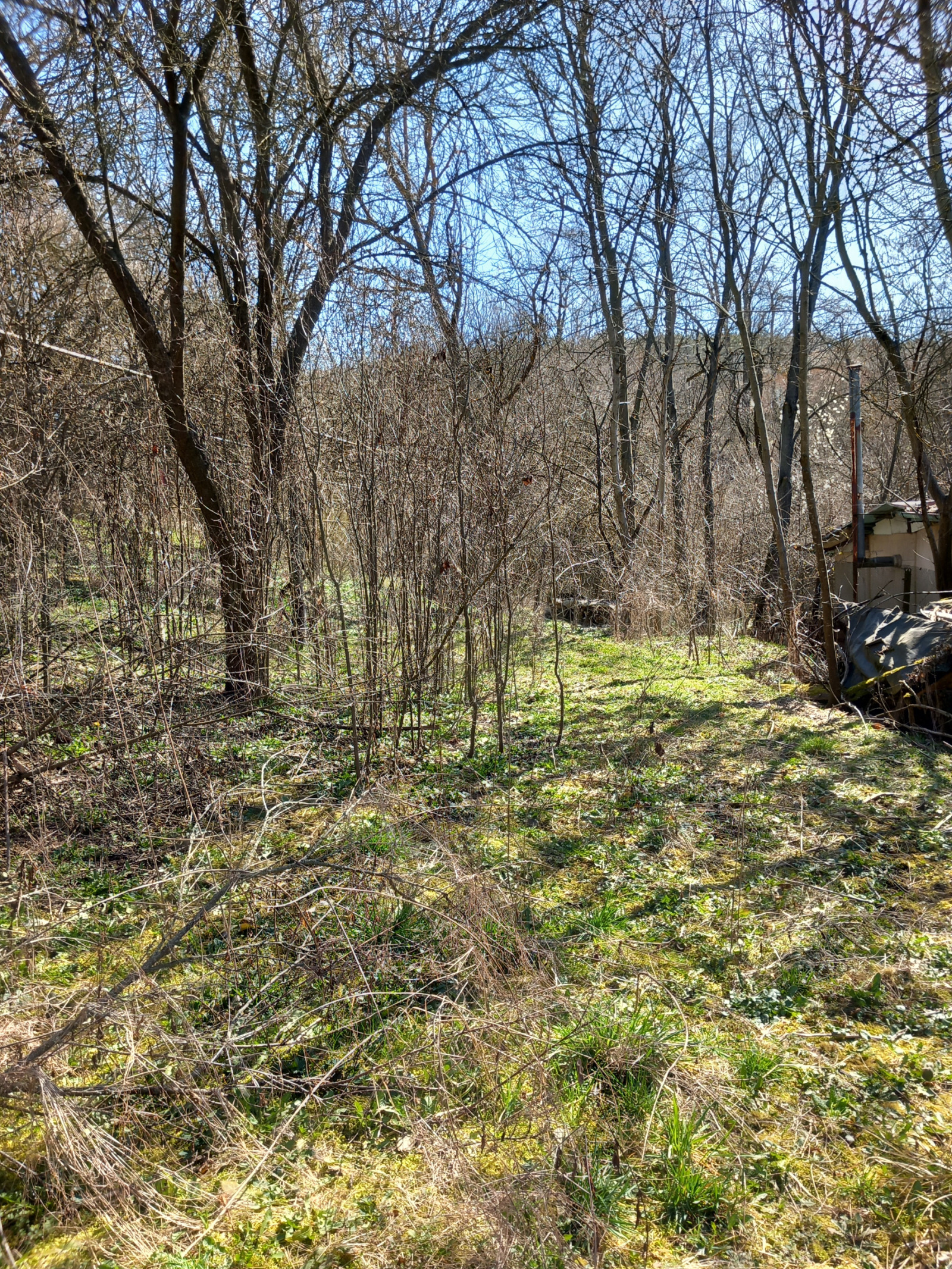 Продава КЪЩА, с. Долно Камарци, област София област, снимка 2 - Къщи - 54148665