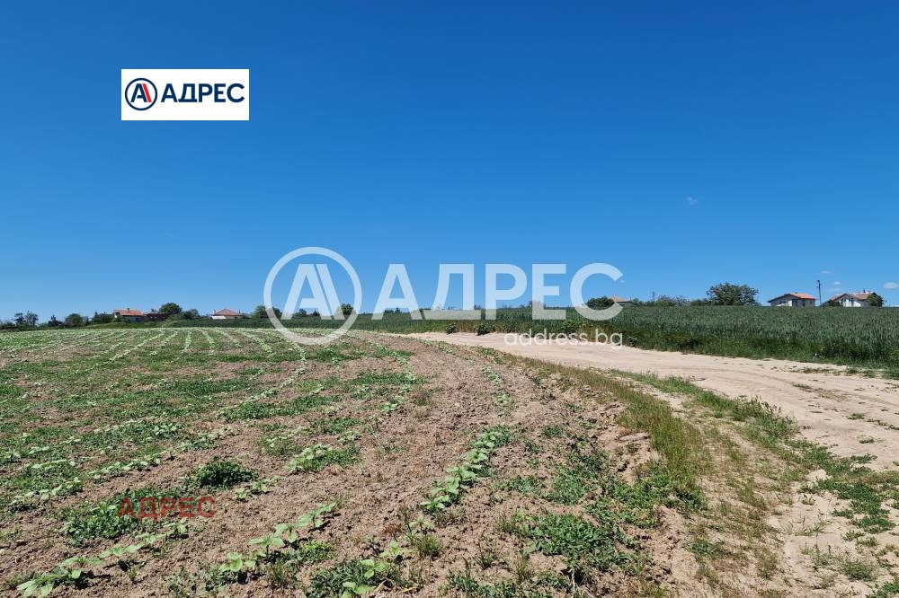 Продава ПАРЦЕЛ, с. Здравец, област Варна, снимка 2 - Парцели - 53765853