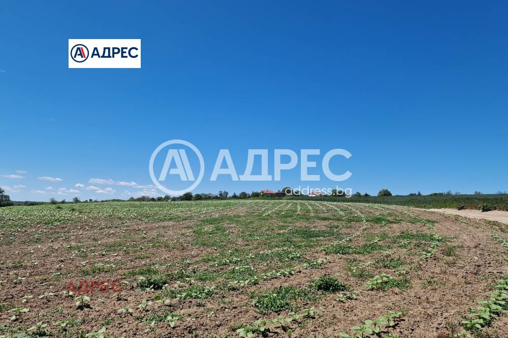 Продава ПАРЦЕЛ, с. Здравец, област Варна, снимка 3 - Парцели - 53765853