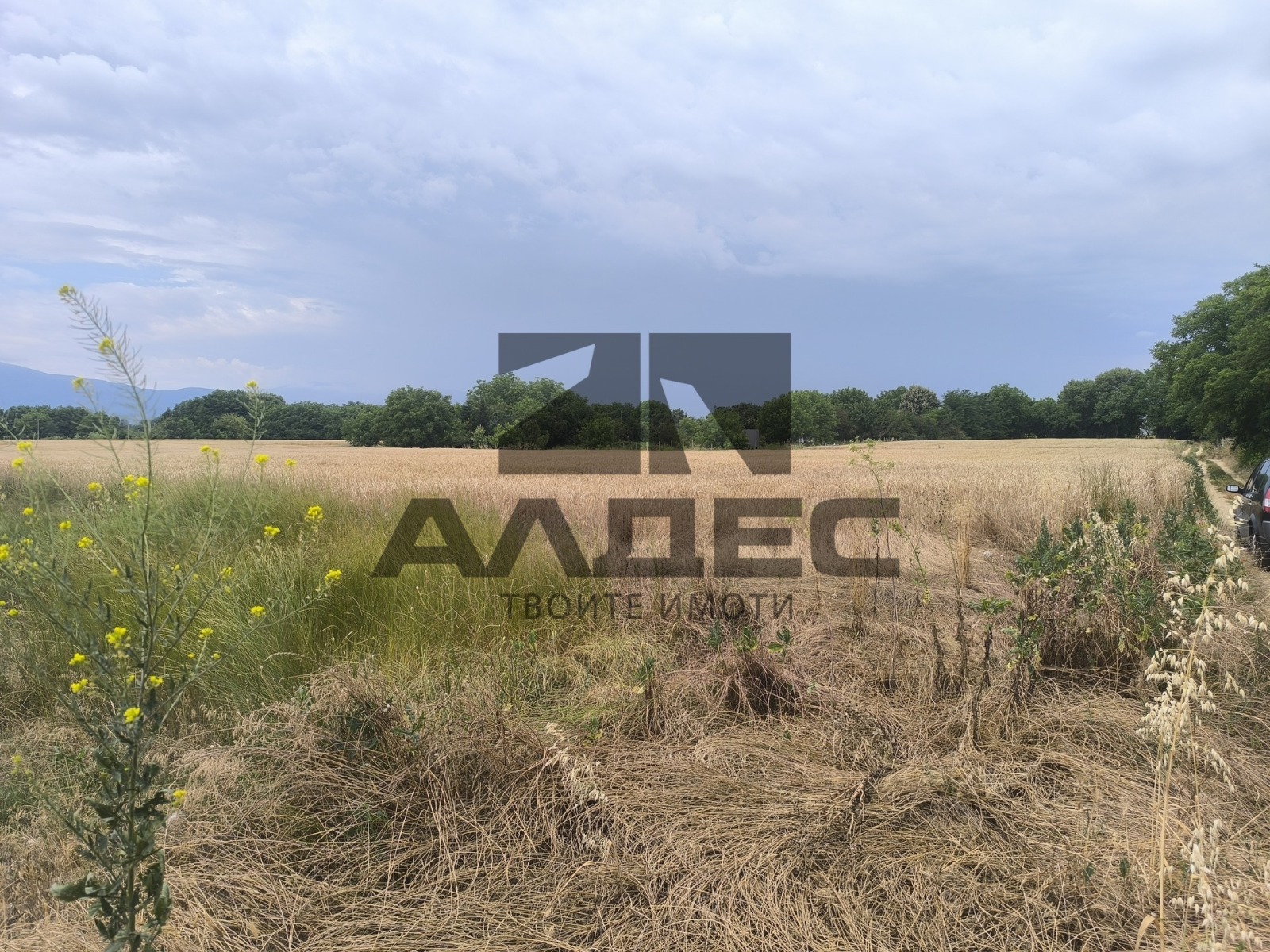 Продава ПАРЦЕЛ, гр. Пазарджик, Запад, снимка 8 - Парцели - 54971371