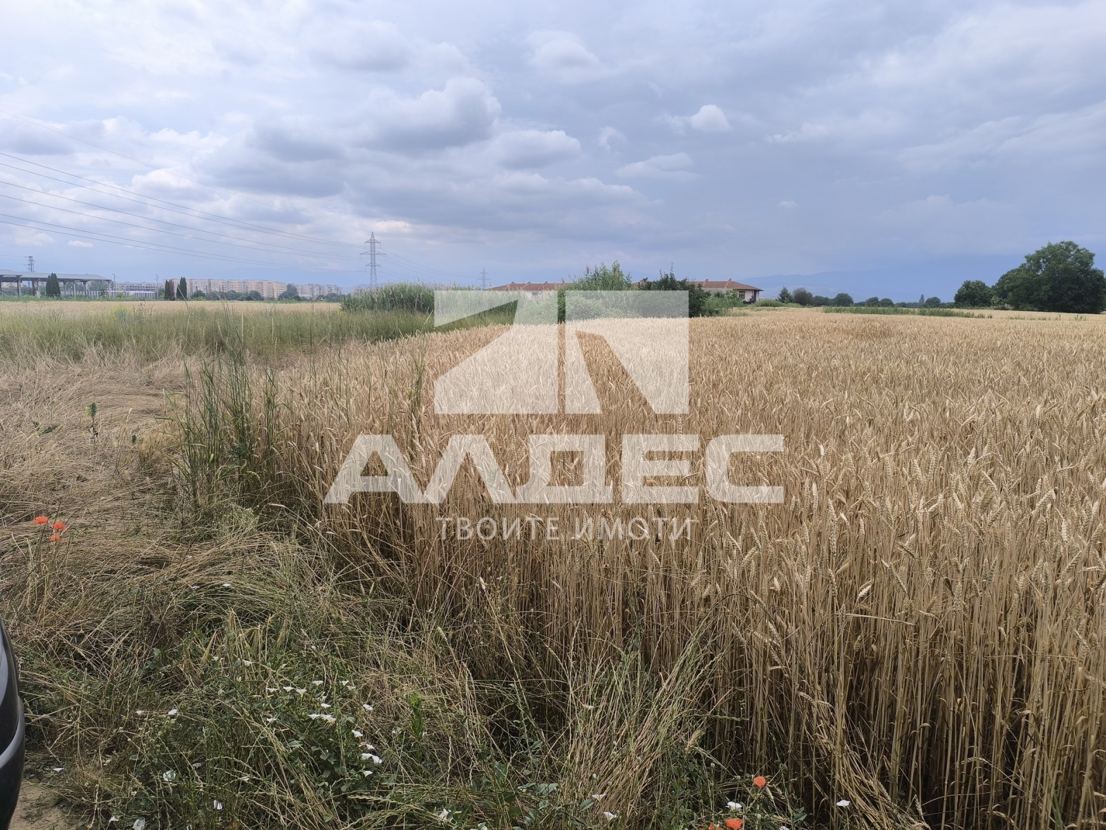 Продава ПАРЦЕЛ, гр. Пазарджик, Запад, снимка 11 - Парцели - 54971371