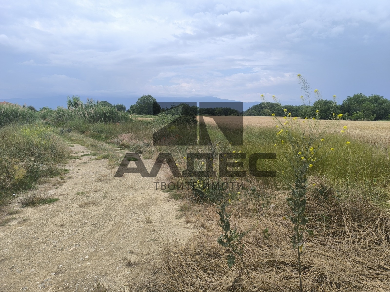Продава ПАРЦЕЛ, гр. Пазарджик, Запад, снимка 9 - Парцели - 54971371