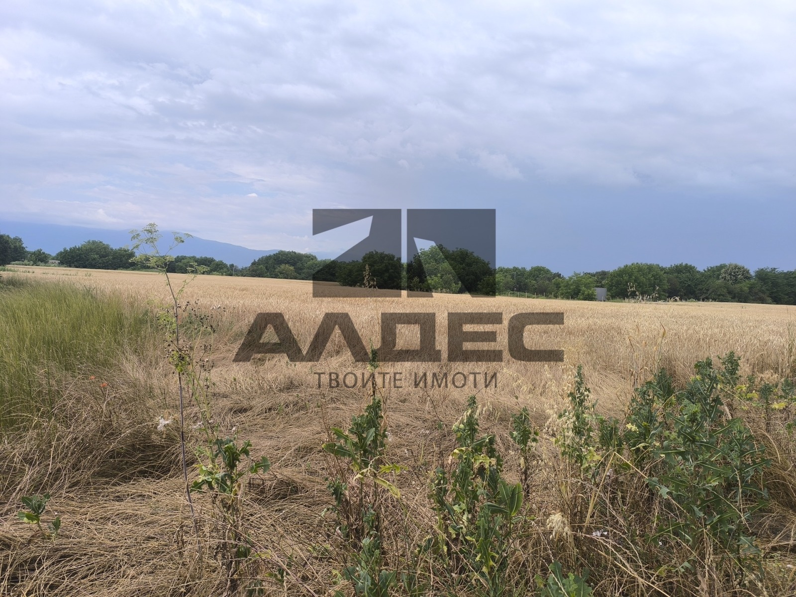 Продава ПАРЦЕЛ, гр. Пазарджик, Запад, снимка 7 - Парцели - 54971371
