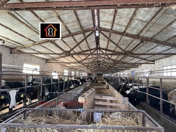 ������� ����. ��������� | Imot.bg � ����������� 4