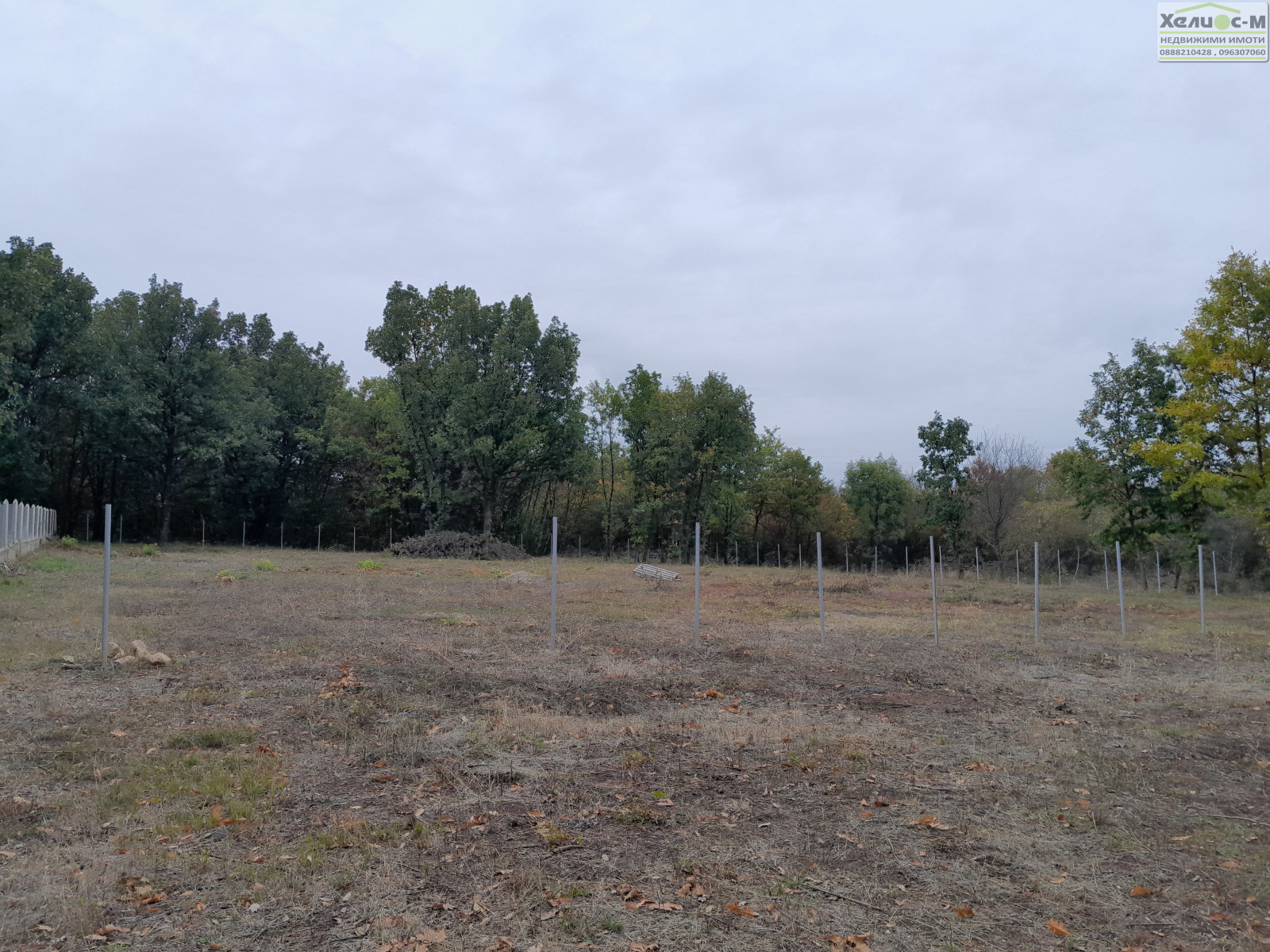 ������� ������ | Imot.bg � ����������� 5