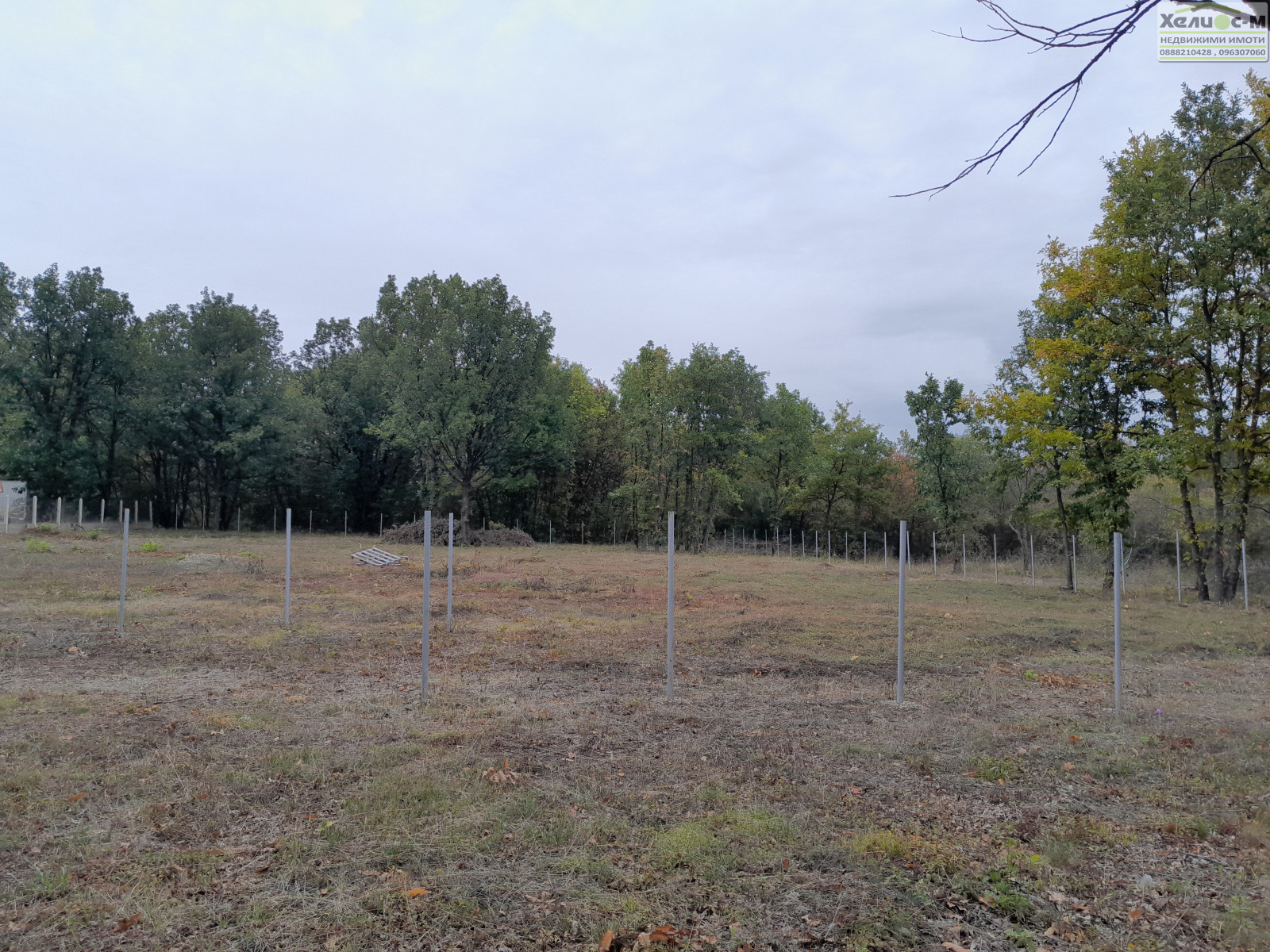 ������� ������ | Imot.bg � ����������� 11