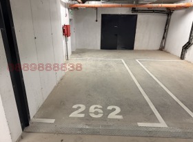 ����� ������� ����������,���� �����, �������