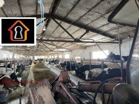 ������� ����. ��������� | Imot.bg � ����� ������ 10