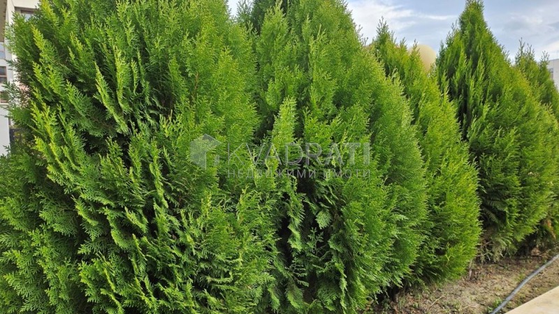 Продава 3-СТАЕН, гр. Пловдив, Кършияка, снимка 14 - Апартаменти - 52521426