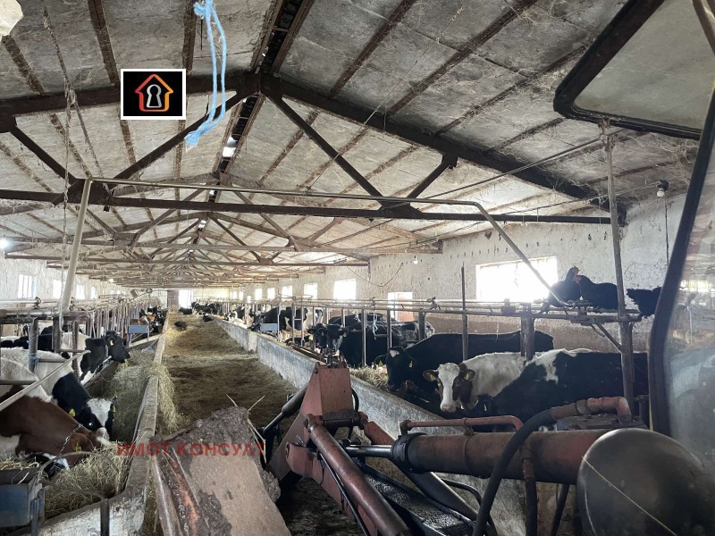 Продава ПРОМ. ПОМЕЩЕНИЕ, с. Мраморен, област Враца, снимка 10 - Производствени сгради - 53536570