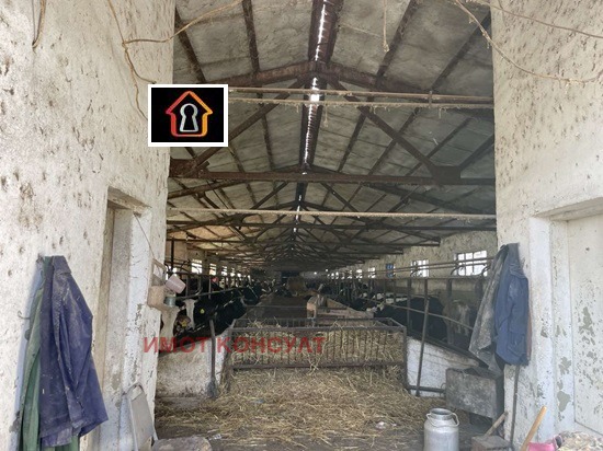 Продава ПРОМ. ПОМЕЩЕНИЕ, с. Мраморен, област Враца, снимка 7 - Производствени сгради - 53536570