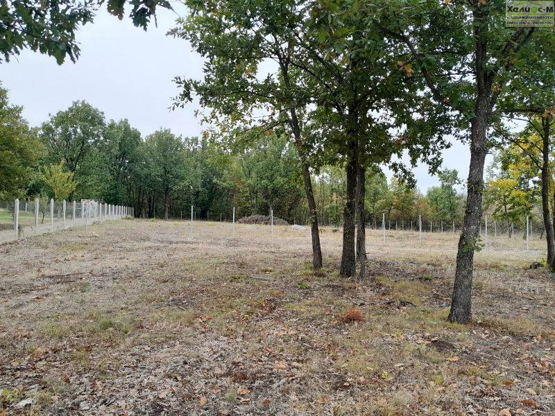 Продава ПАРЦЕЛ, гр. Монтана, в.з. Запад, снимка 9 - Парцели - 53460652