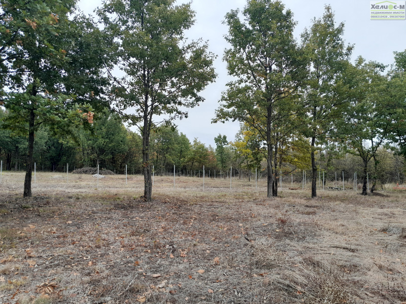 Продава ПАРЦЕЛ, гр. Монтана, в.з. Запад, снимка 13 - Парцели - 53460652