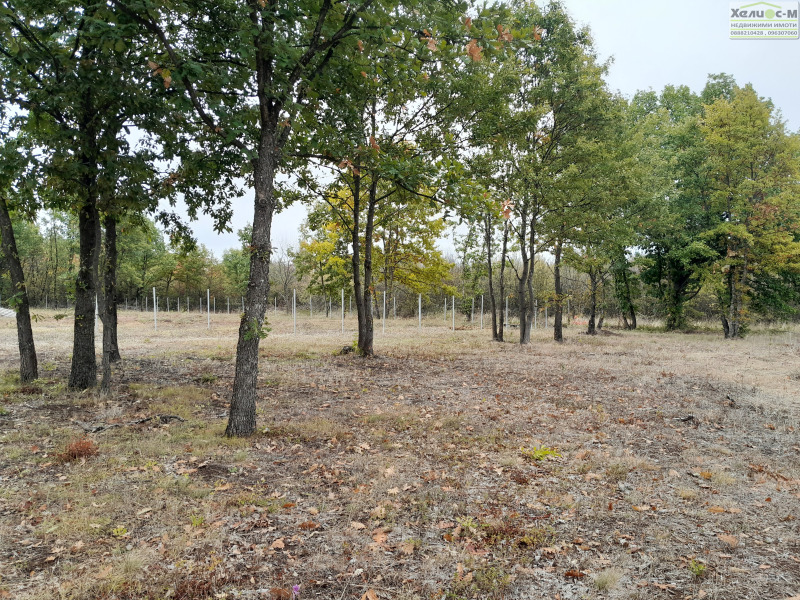 Продава ПАРЦЕЛ, гр. Монтана, в.з. Запад, снимка 10 - Парцели - 53460652