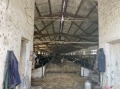 Продава ПРОМ. ПОМЕЩЕНИЕ, с. Мраморен, област Враца, снимка 7