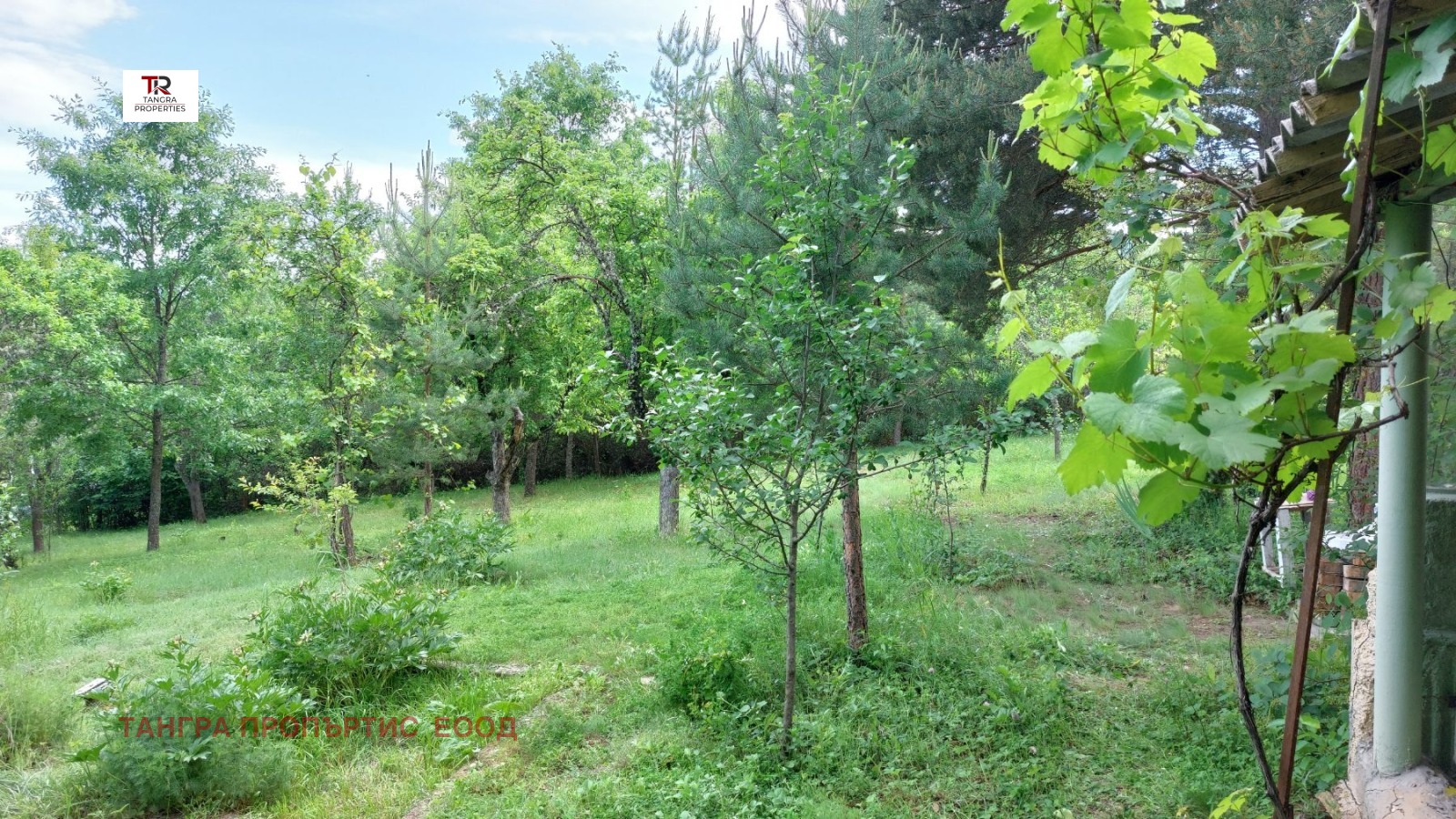 ������� ���� | Imot.bg � ����������� 9