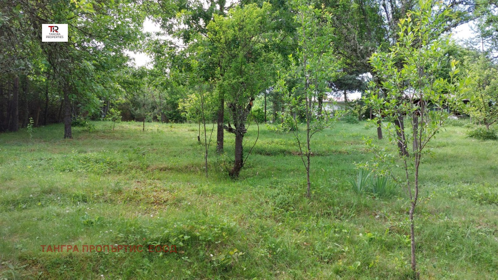 ������� ���� | Imot.bg � ����������� 13