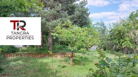 ����� ������� ����,�. ��������, ������ ������>