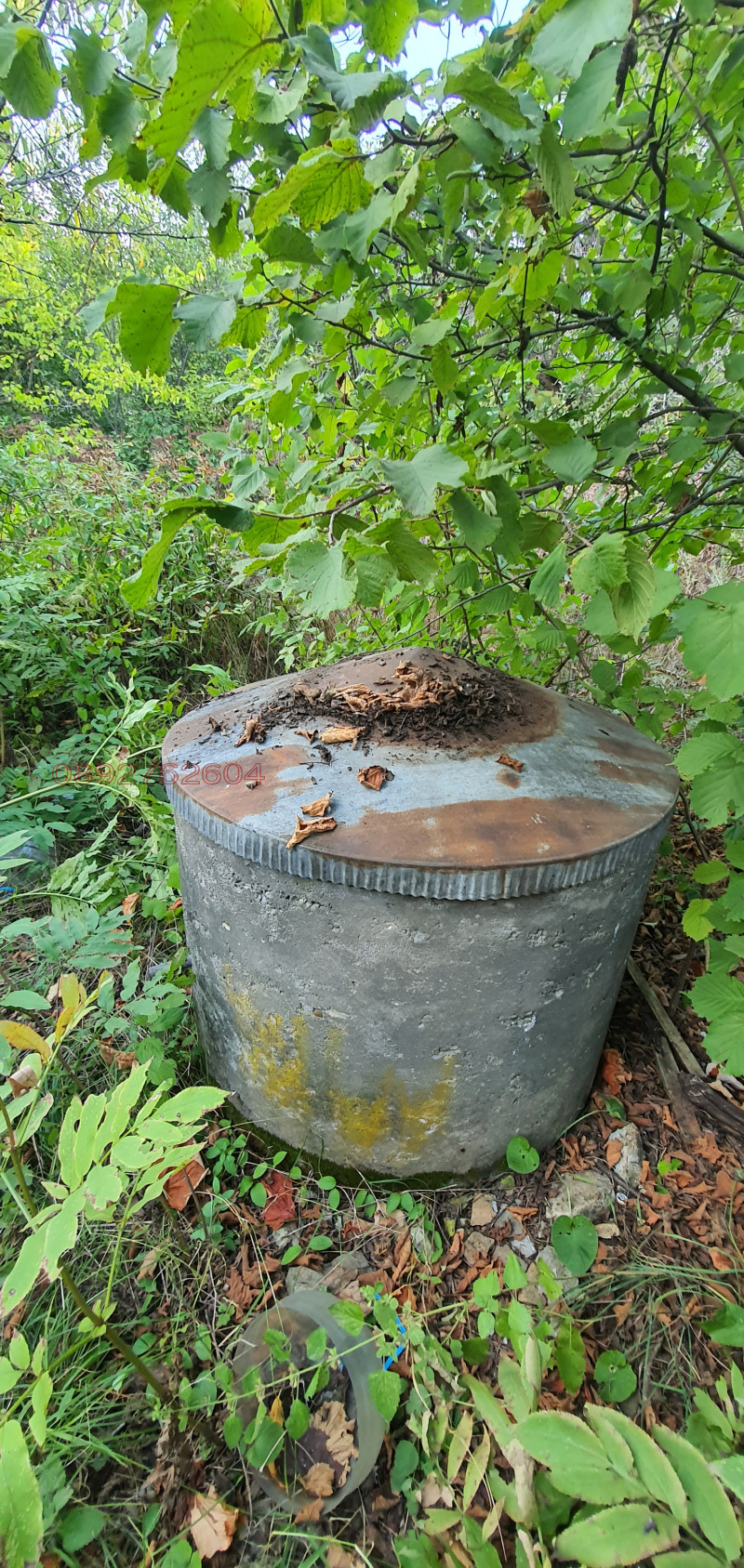 Продава КЪЩА, с. Дралфа, област Търговище, снимка 3 - Къщи - 52785031