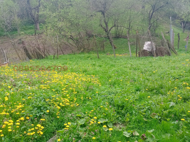 Продава КЪЩА, с. Чифлик, област Ловеч, снимка 14 - Къщи - 52779389