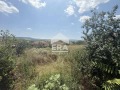 Продава ПАРЦЕЛ, гр. Дългопол, област Варна, снимка 5