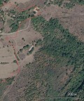 Продава  Земеделска земя област Търговище , с. Ястребино , 15 дка | 21062254 - изображение [2]