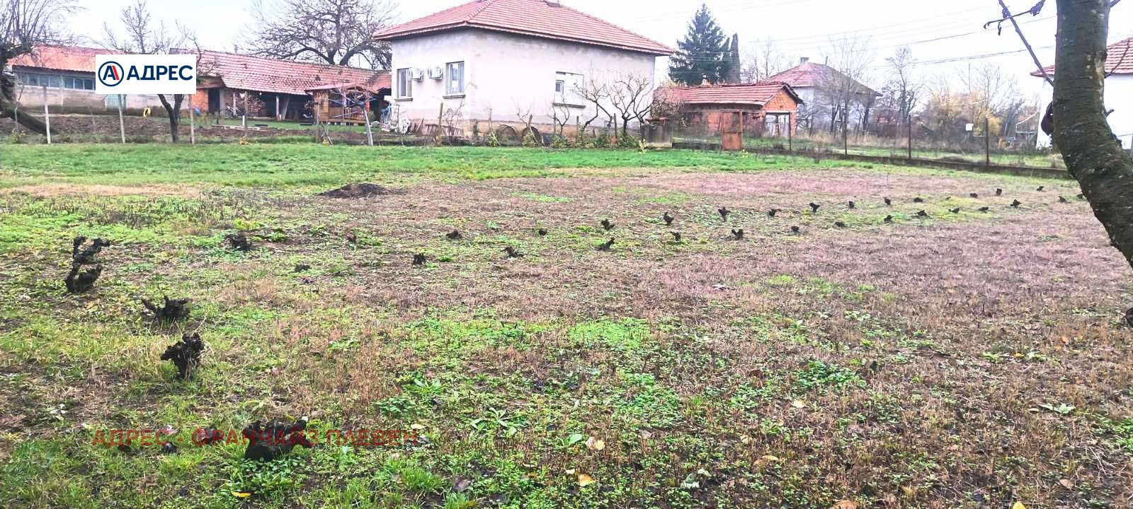 ������� ������ | Imot.bg � ����������� 1