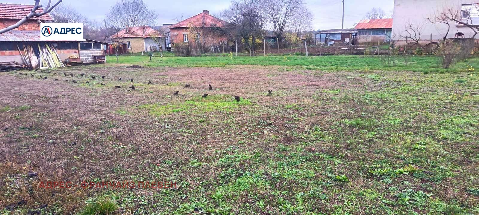 ������� ������ | Imot.bg � ����������� 4