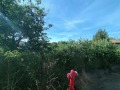 Продава ПАРЦЕЛ, с. Алдомировци, област София област, снимка 9