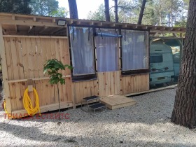 ������ ������� ����