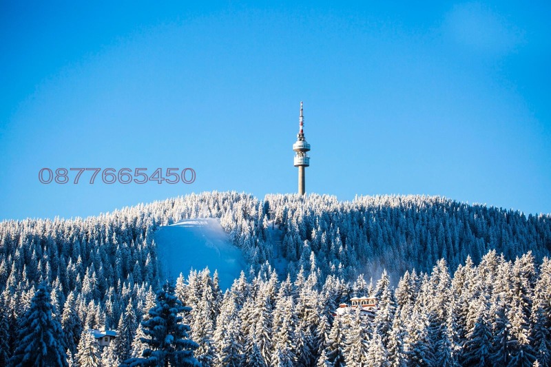 Продается  1 спальня область Смолян , к.к. Пампорово , 73 кв.м | 60990846 - изображение [8]