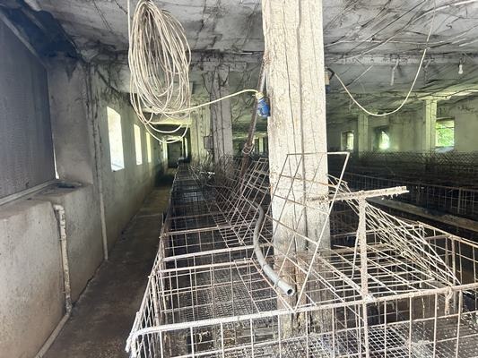 Продава  Пром. помещение област Стара Загора , с. Гита , 500 кв.м | 53508247 - изображение [3]