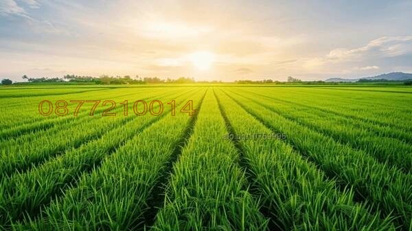 Продава ЗЕМЕДЕЛСКА ЗЕМЯ, с. Караново, област Сливен