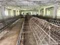 Продава ПРОМ. ПОМЕЩЕНИЕ, област Стара Загора, с. Гита • 88408 лв. • 38811990 — Holmes.bg
