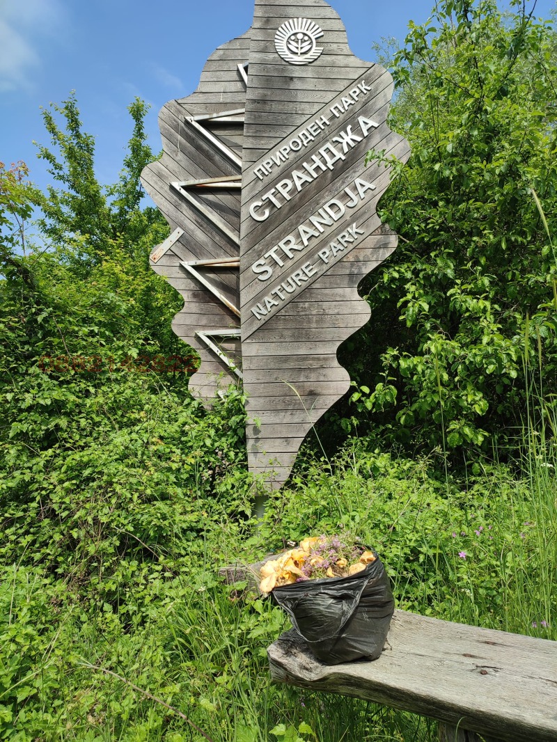 Продава ПАРЦЕЛ, гр. Царево, област Бургас, снимка 4 - Парцели - 53408799