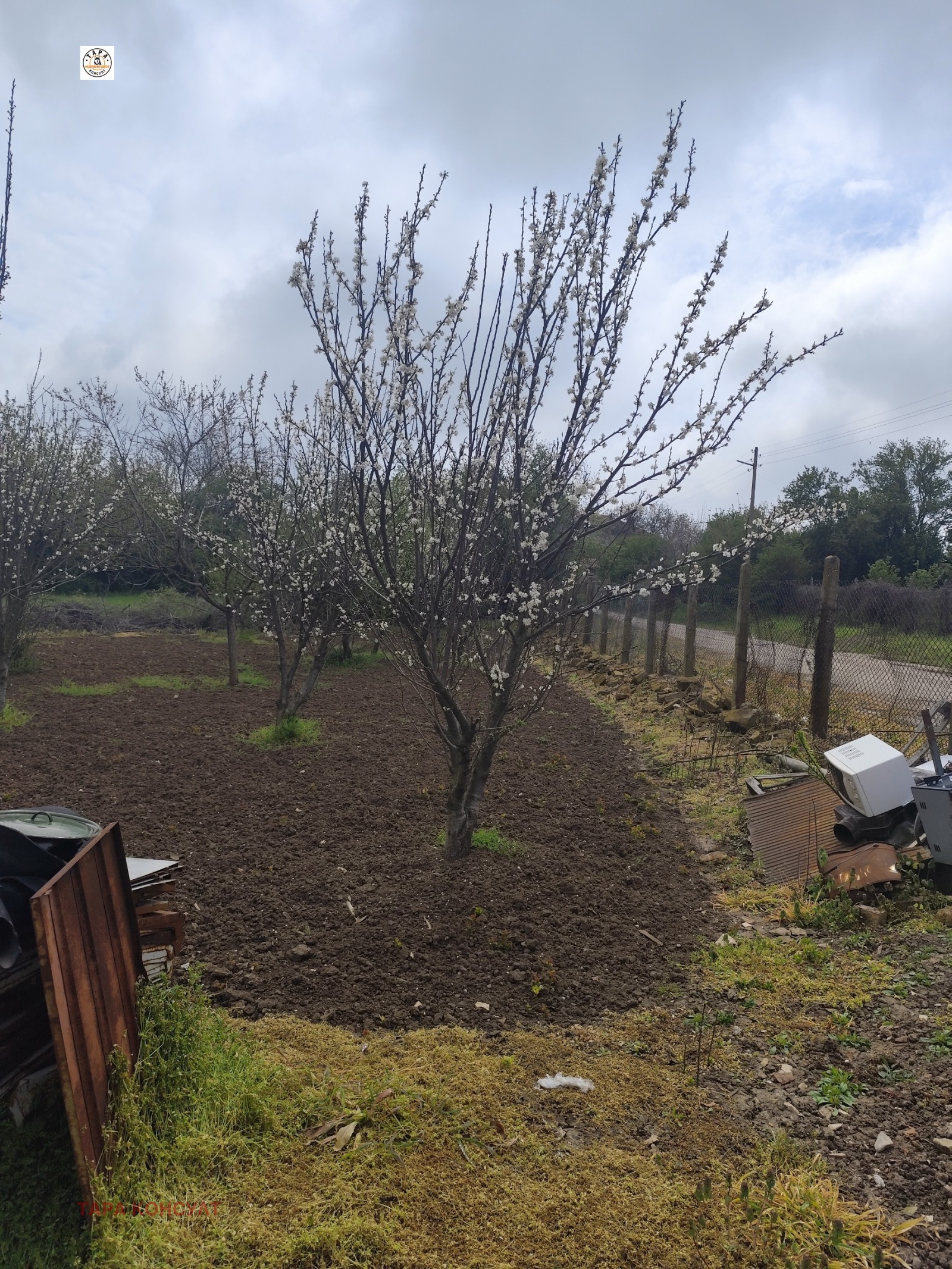 ������� ���� | Imot.bg � ����������� 4