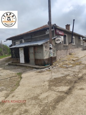 ������ ������� ����