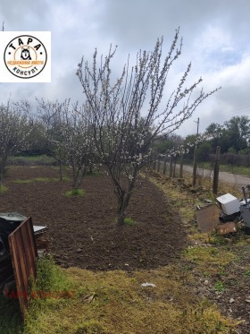 ������� ���� | Imot.bg � ����� ������ 4