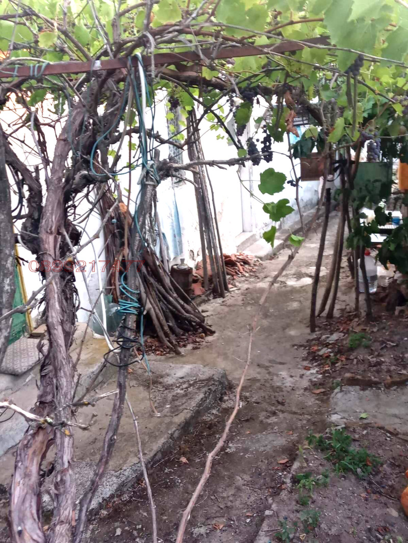 Продава КЪЩА, с. Медово, област Стара Загора, снимка 6 - Къщи - 52913290