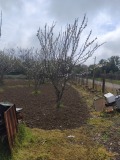 Продава КЪЩА, с. Сушица, област Велико Търново, снимка 4