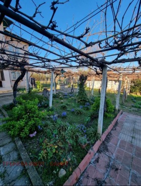 Hus Vladinja, region Lovech