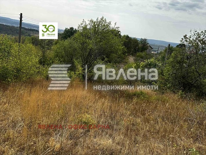 Продава ПАРЦЕЛ, с. Доброглед, област Варна, снимка 6 - Парцели - 54826855