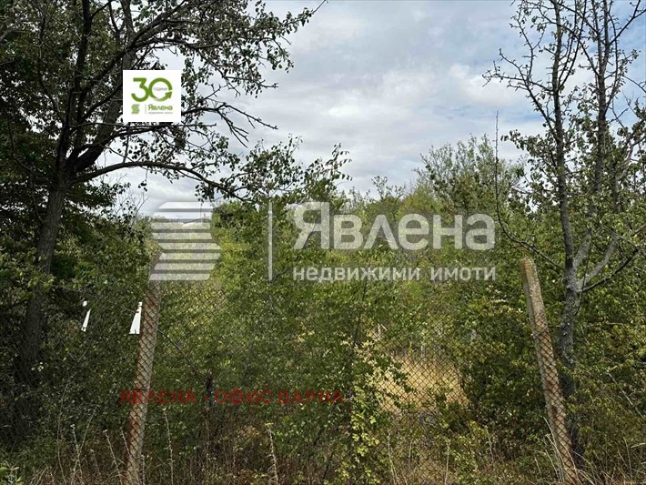 Продава ПАРЦЕЛ, с. Доброглед, област Варна, снимка 5 - Парцели - 54826855