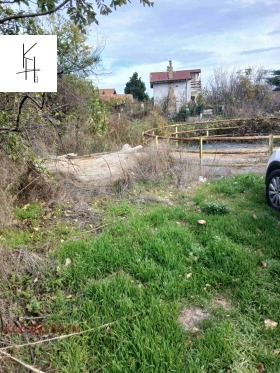 ����� ������� ������,���� �����, ����