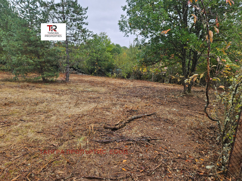 For Sale  Villa region Pernik , Egalnitsa , 34 sq.m | 58922004 - image [2]