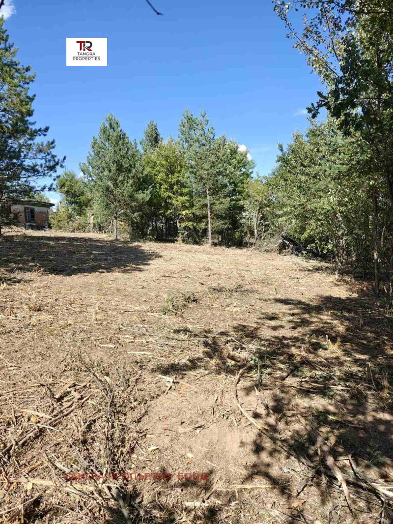 Продава ВИЛА, с. Егълница, област Перник, снимка 9 - Вили - 52122756