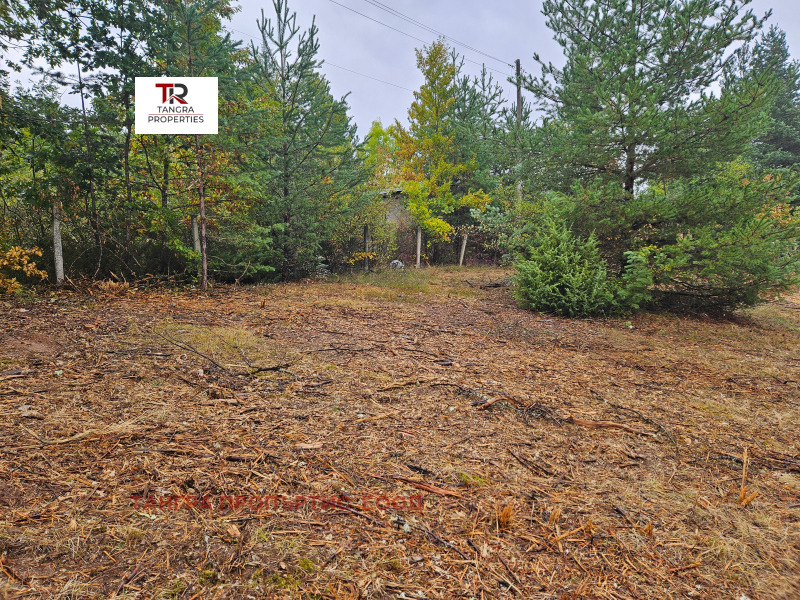For Sale  Villa region Pernik , Egalnitsa , 34 sq.m | 58922004 - image [3]